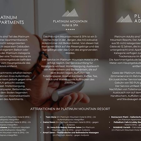 Platinum Mountain Hotel&Spa Шклярска Поремба Екстериор снимка Brochure