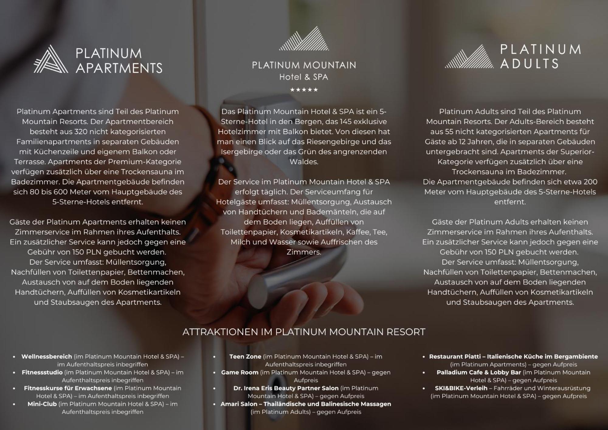 Platinum Mountain Hotel&Spa Шклярска Поремба Екстериор снимка Brochure